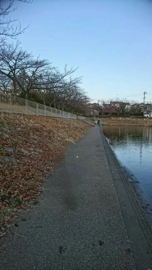 愛知県の墓誌板彫刻