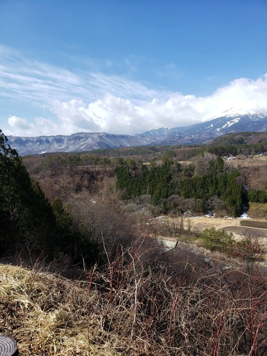 愛知県豊明市でお墓の追加彫り：彫刻本舗