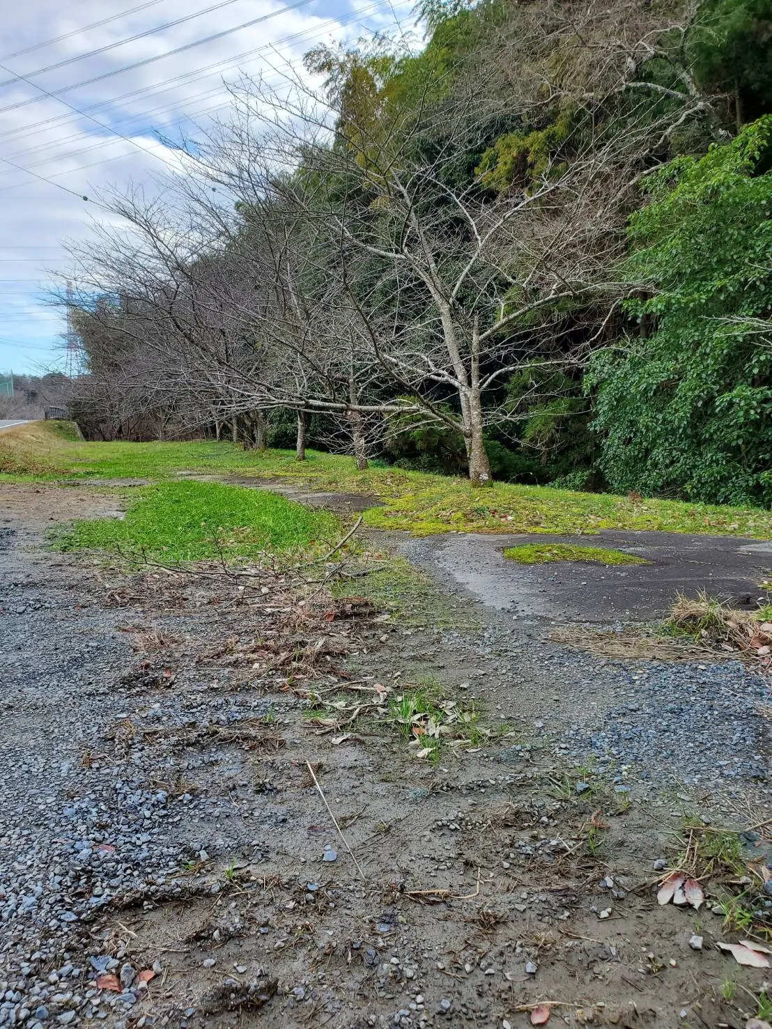 名古屋のお墓追加彫り｜平和公園で彫刻するなら｜彫刻本舗