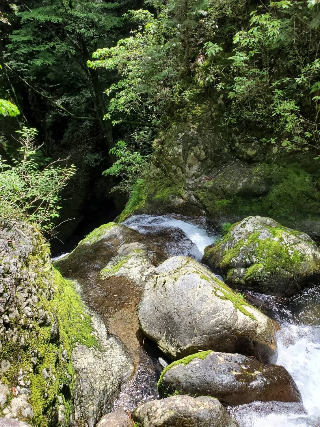 お墓の追加彫りを行いました岐阜県土岐市｜彫刻サービスの紹介