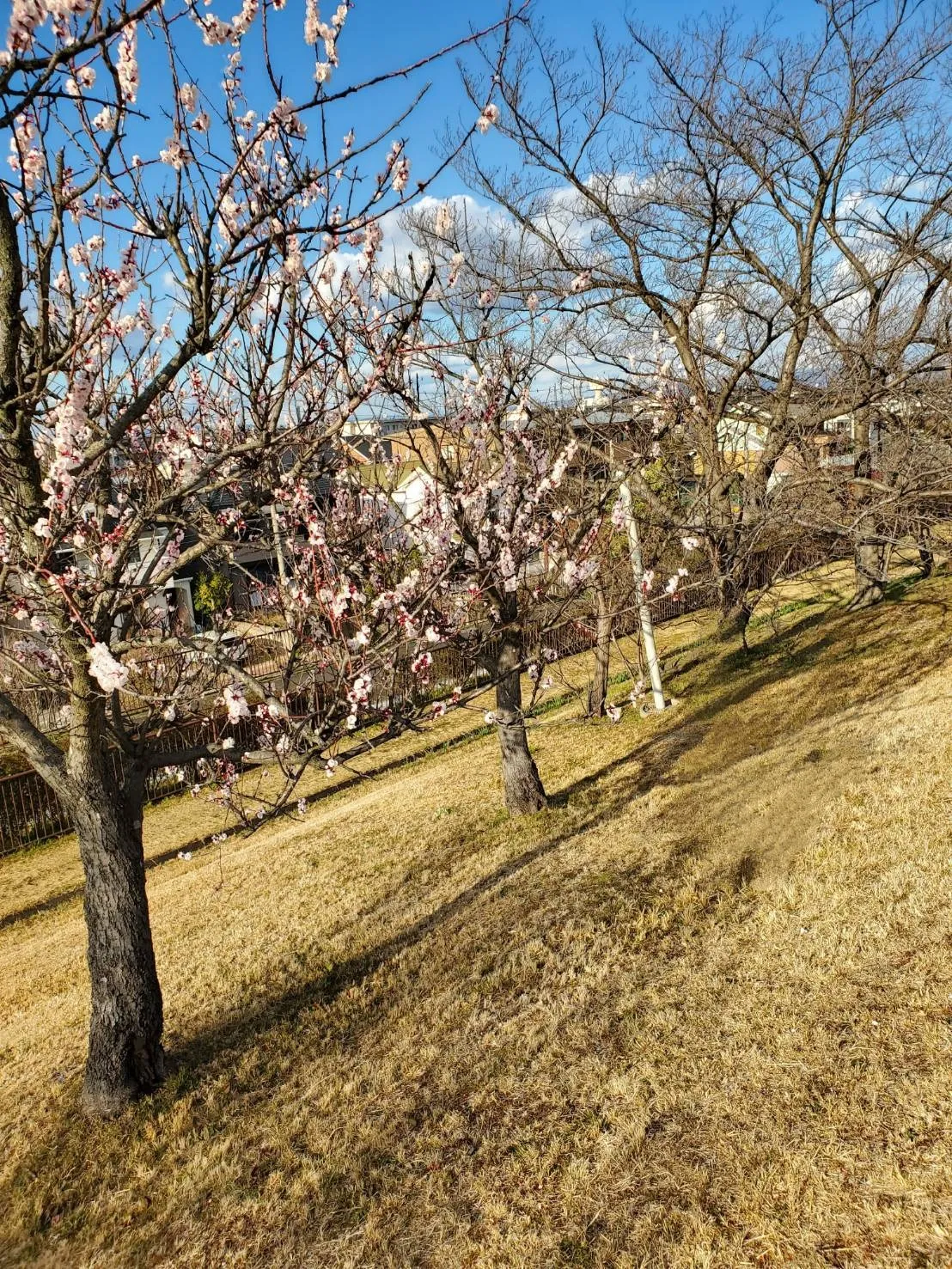 【小牧】お墓の追加彫り・戒名・没年月日を彫刻！ | 彫刻本舗