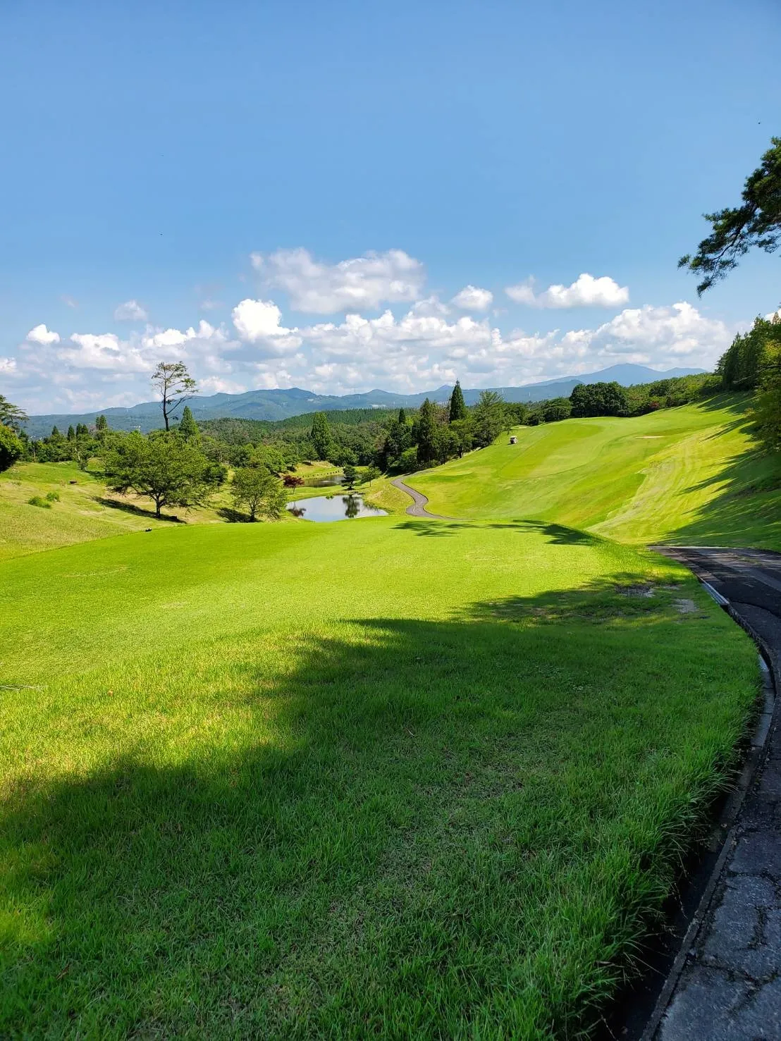 八事霊園お墓の追加彫り｜墓誌板３名目法名･没年月日･俗名･ご年齢の彫刻｜彫刻本舗