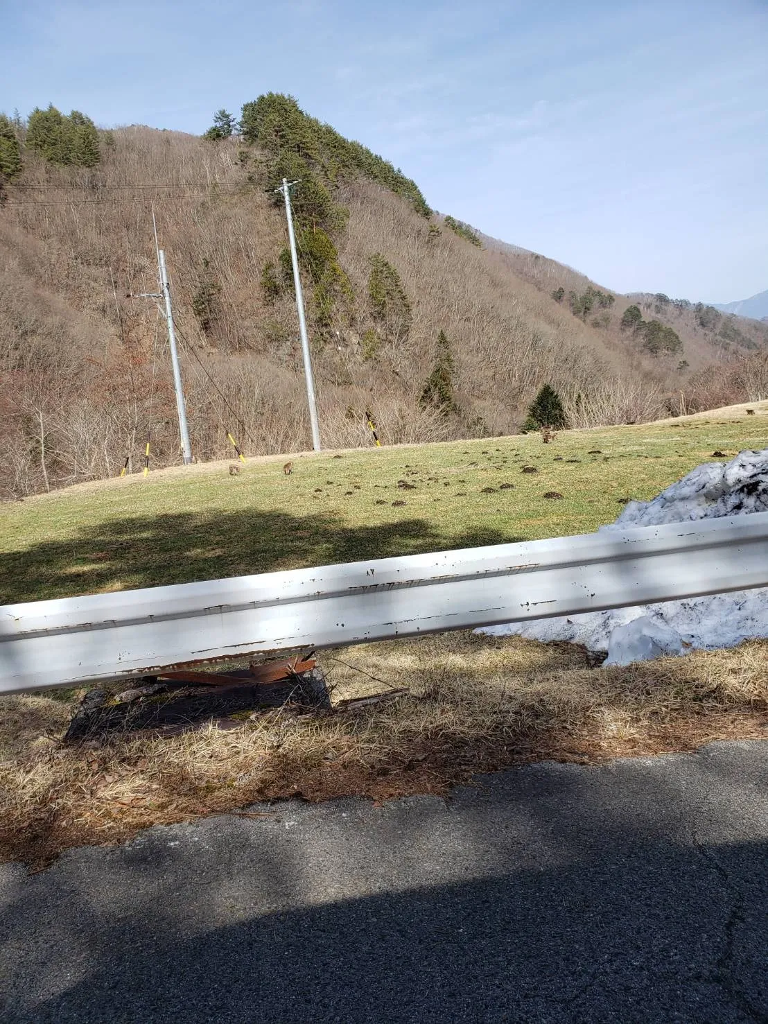 愛知県日進市でお墓の追加彫り：彫刻本舗