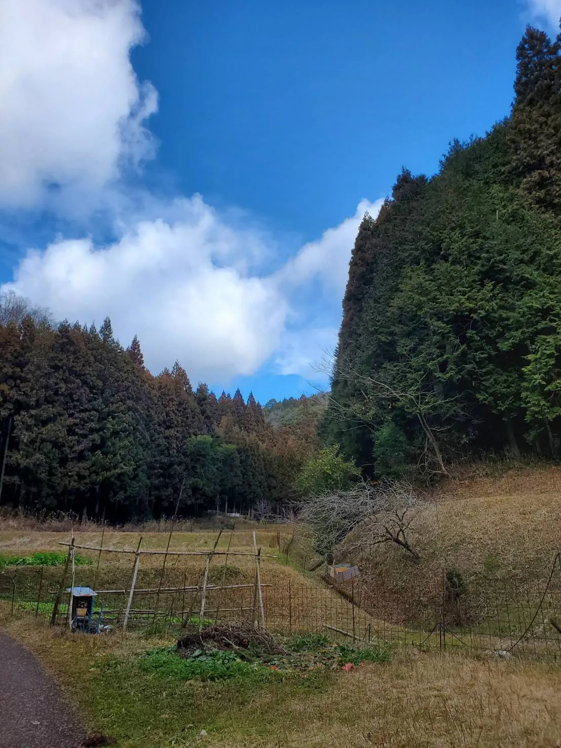 愛知県・一宮市でお墓の追加彫り。戒名・没年月日などを彫刻。