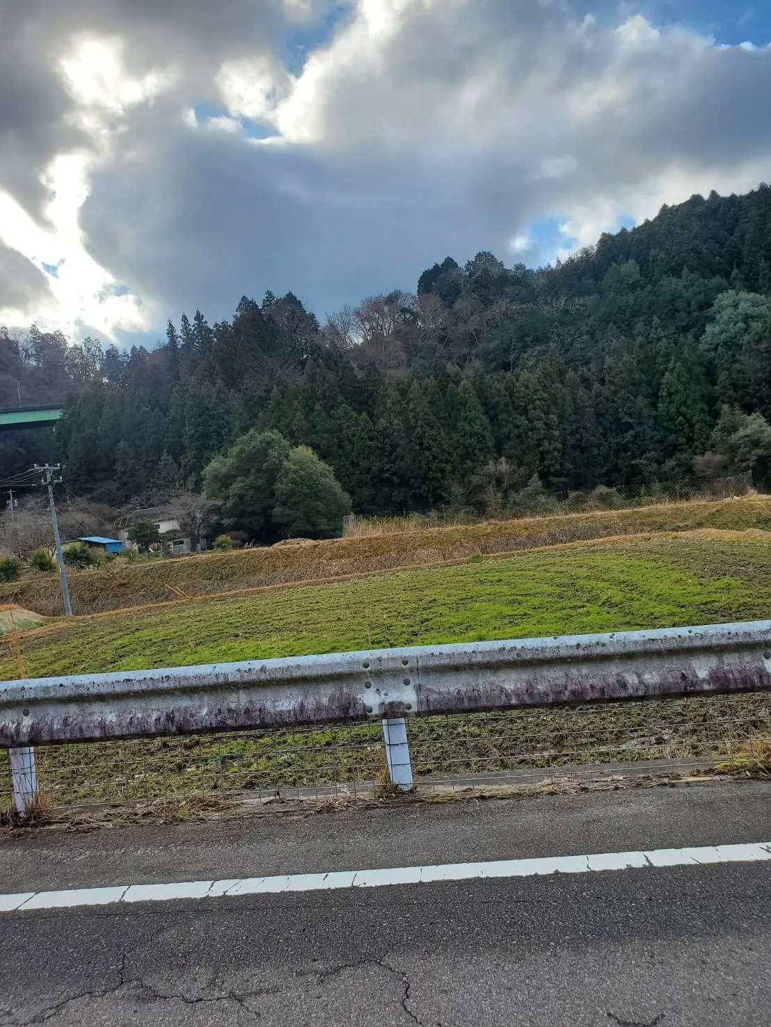 愛知県豊橋市で竿石への追加彫刻｜彫刻本舗