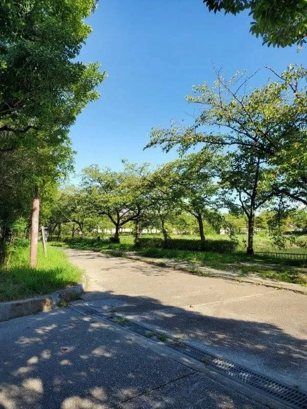 愛知県岡崎市でお墓の追加彫り。戒名・没年月日などを彫刻。