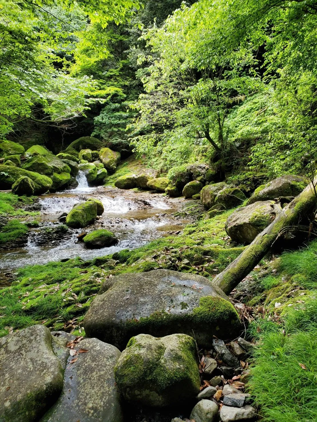 お墓の彫刻サービスなら彫刻本舗｜愛知県名古屋市