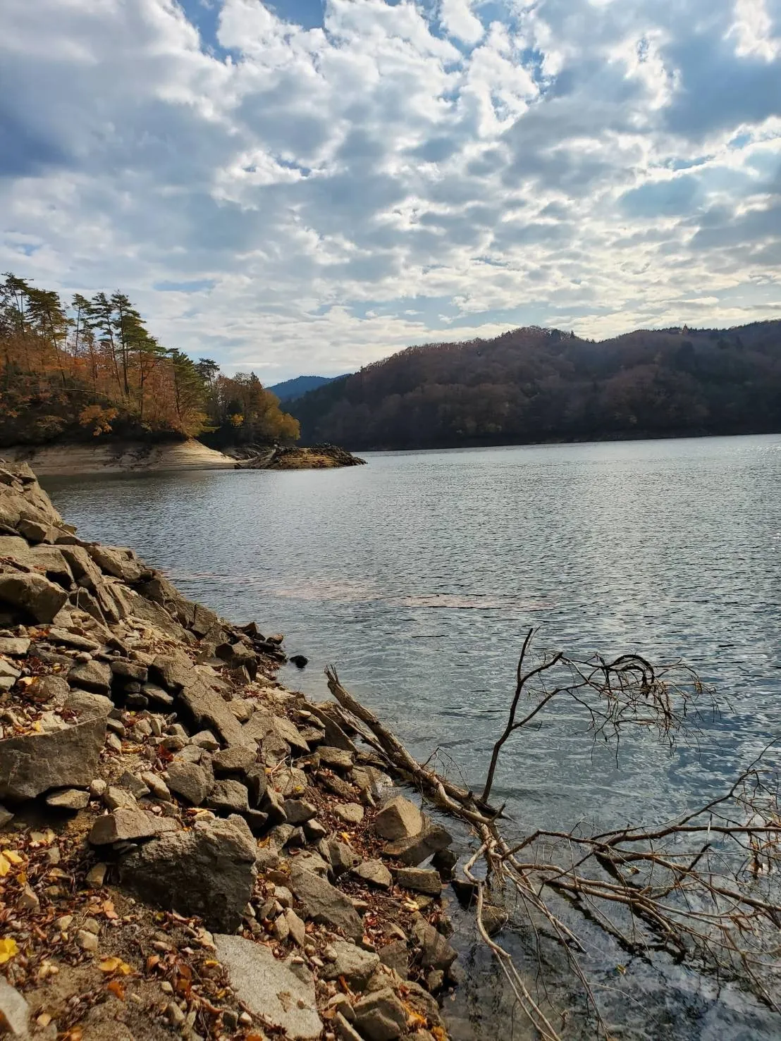 お墓の彫刻サービス｜愛知県名古屋市内の霊園で追加彫刻