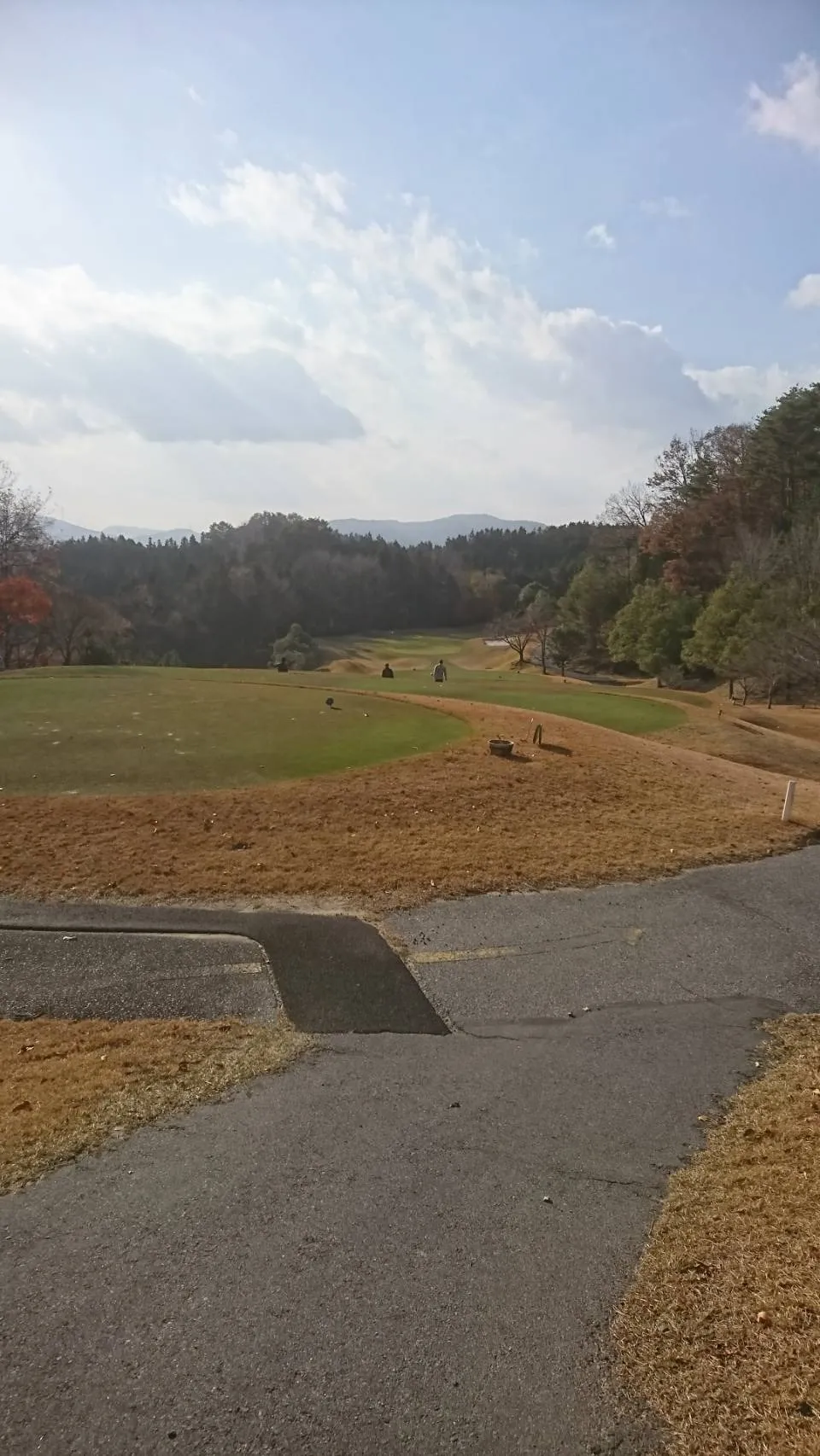 お墓の出張彫刻サービス【彫刻本舗】名古屋市