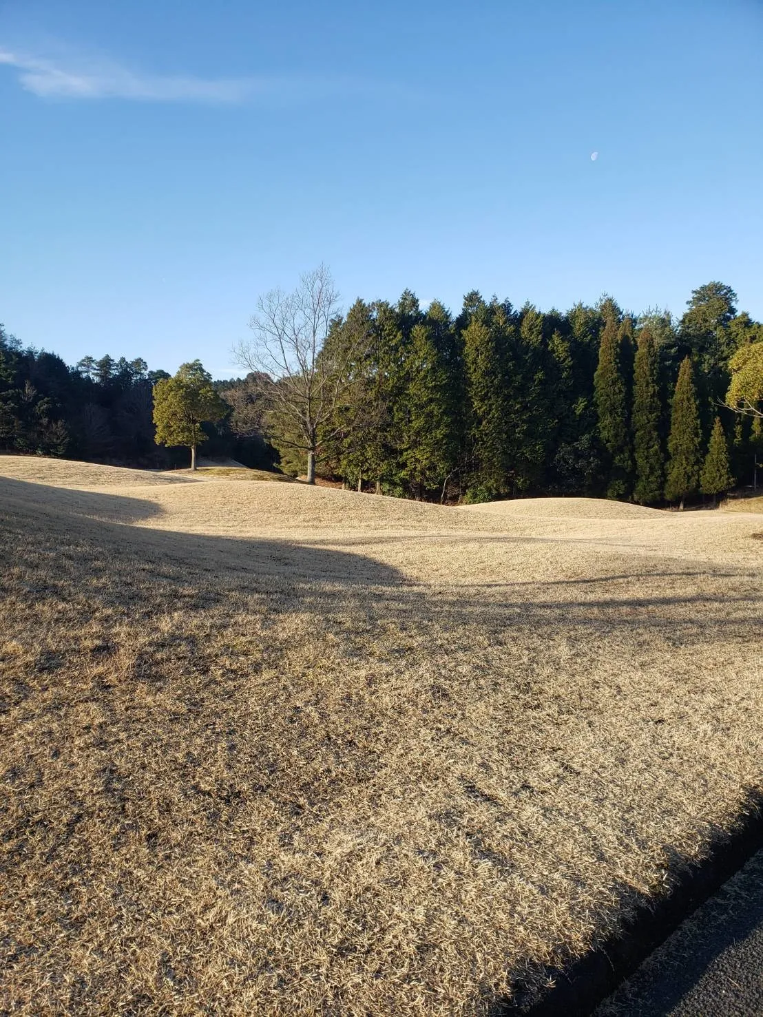 愛知県尾張旭市　お墓の追加彫刻を行いました