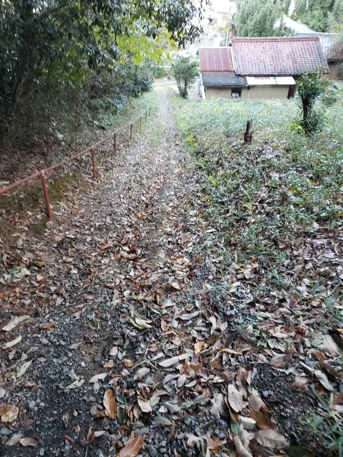 お墓の追加彫りを行いました　豊明市｜彫刻サービスの紹介