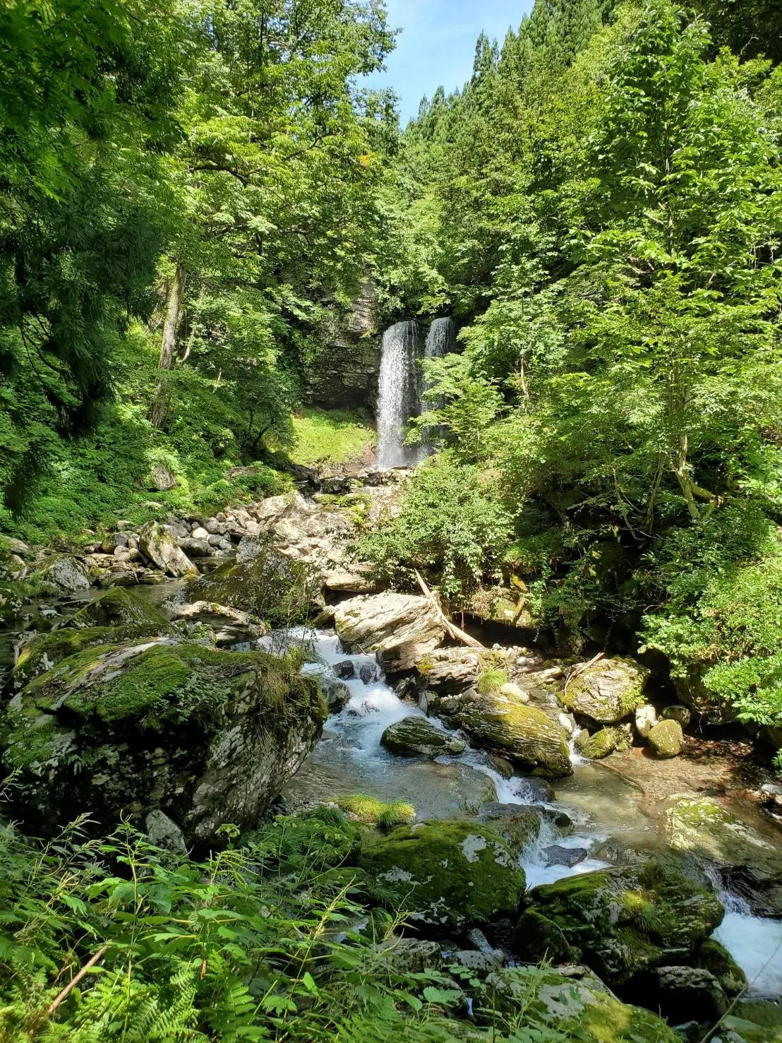 お墓の彫刻サービス｜愛知県名古屋市で追加彫刻