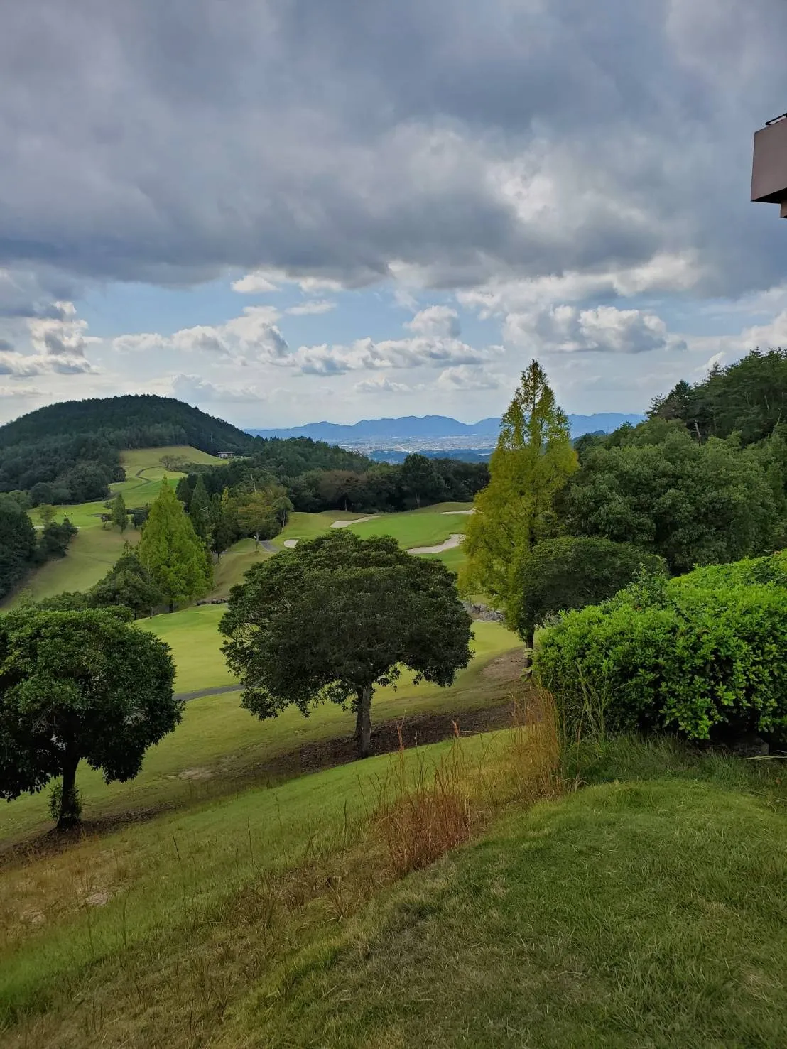 愛知県一宮市でお墓の追加彫りを行いました：彫刻本舗