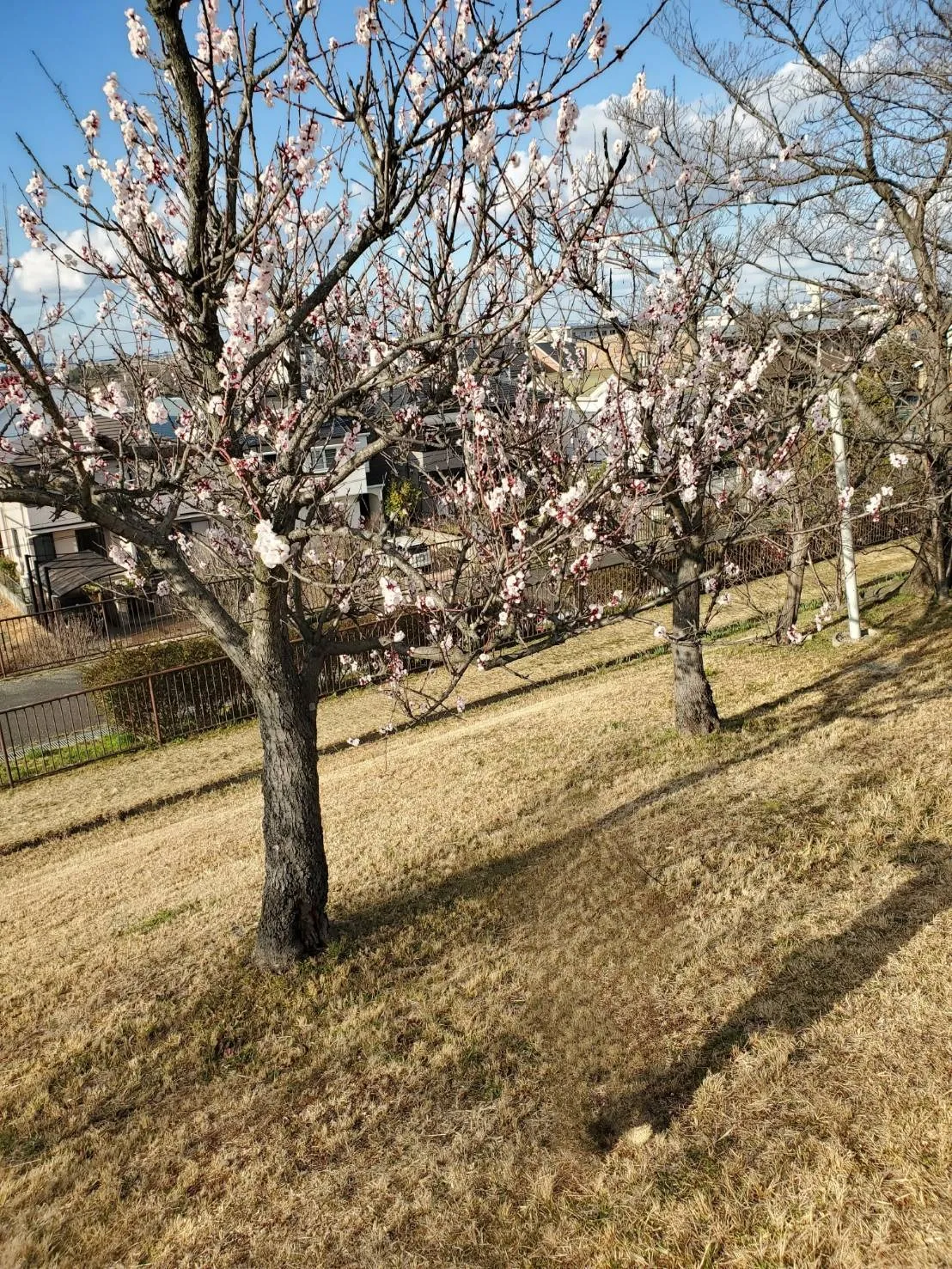 既存文字に合わせて愛知県豊田市で彫刻！ | 彫刻本舗