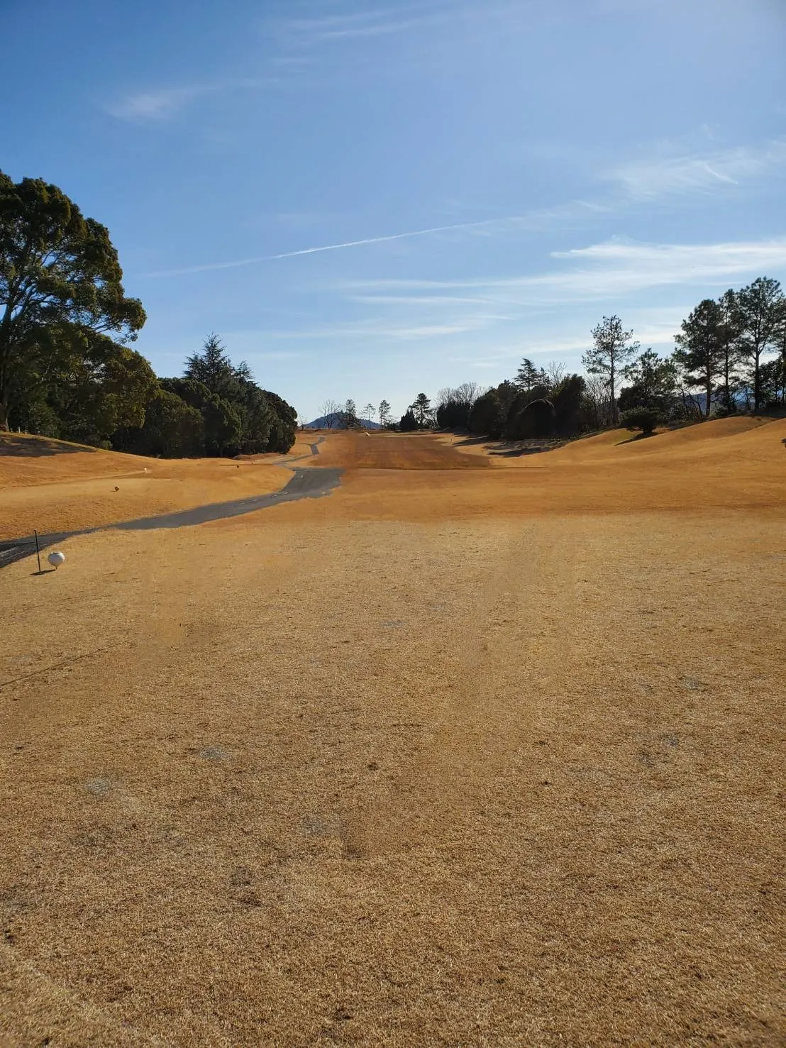 愛知県一宮市でお墓の追加彫り：彫刻本舗