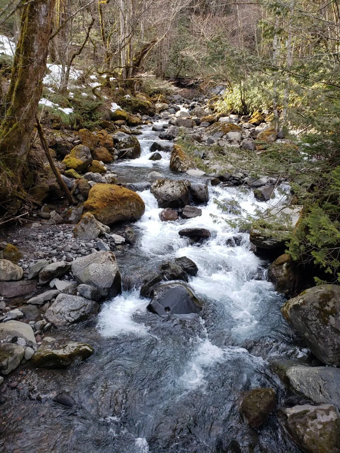 【愛知県尾張旭市】お墓の追加彫り | 彫刻本舗