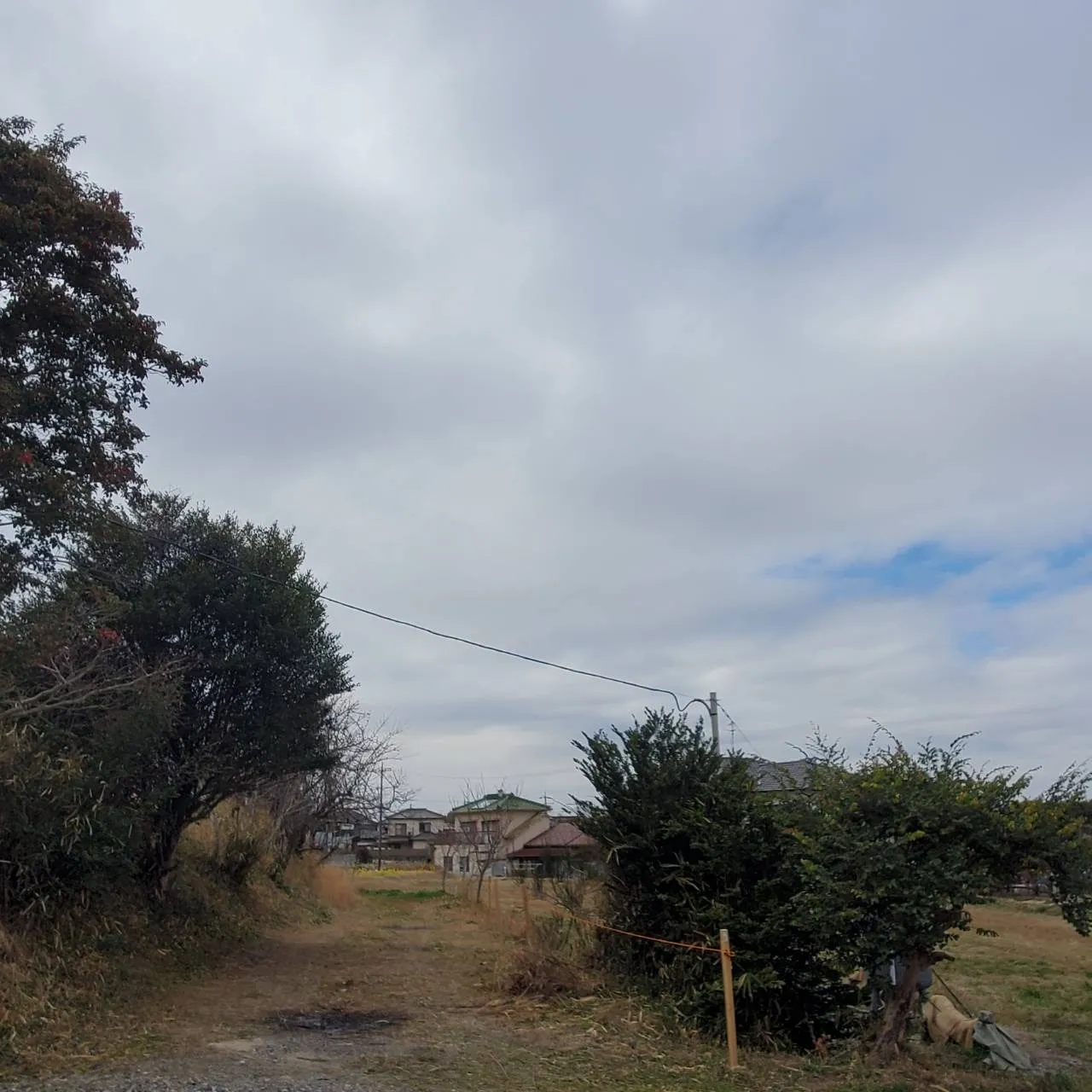 お墓の出張彫刻サービス【彫刻本舗】愛知県みよし市