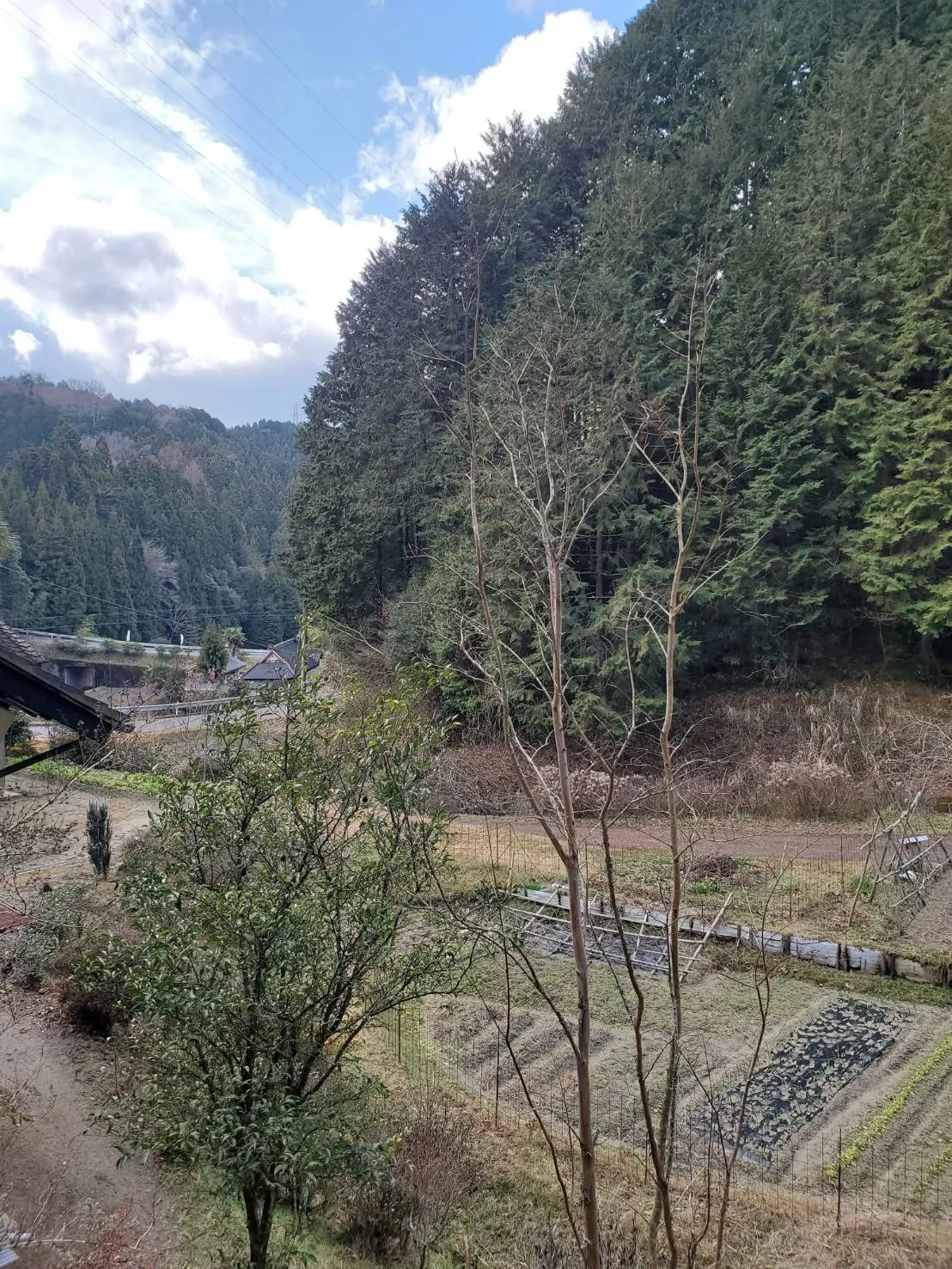 愛知県みよし市でお墓の追加彫り：彫刻本舗