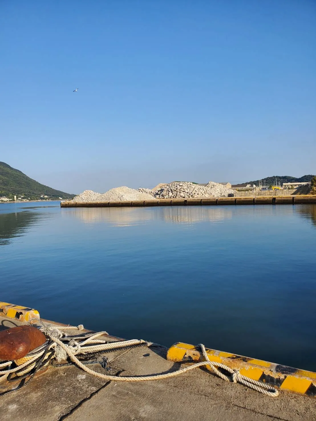 【愛知県名古屋市】お墓の追加彫り・戒名と没年月日を竿石へ彫刻！ | 彫刻本舗