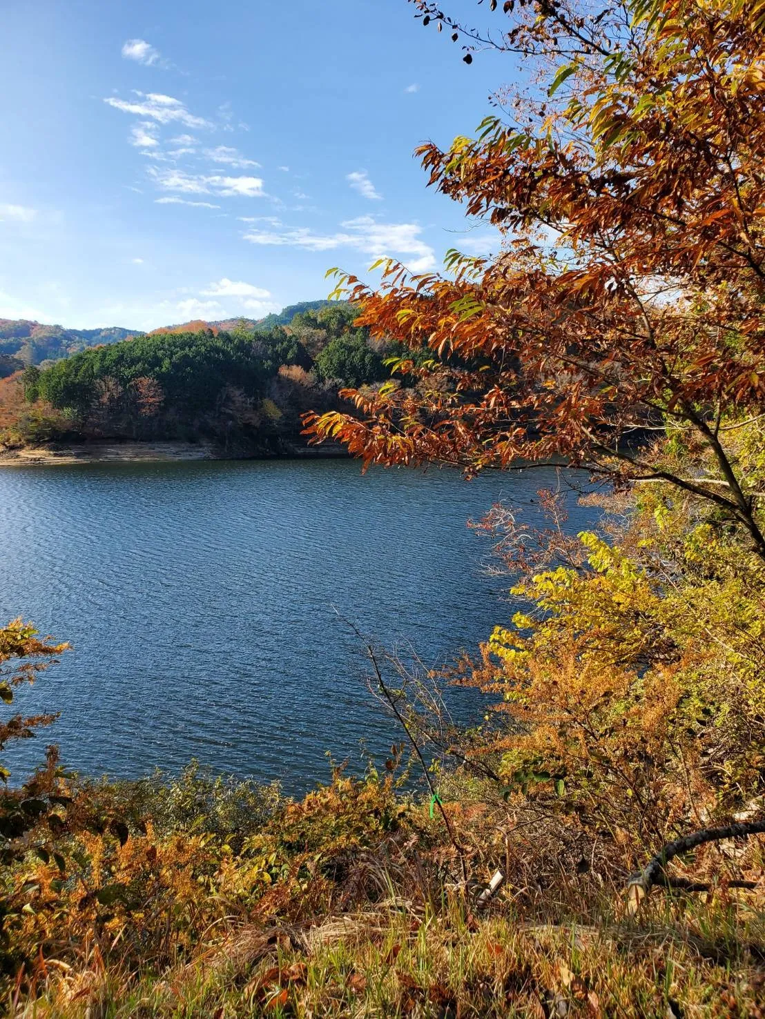 愛知県みよし市　お墓の追加彫刻を行いました