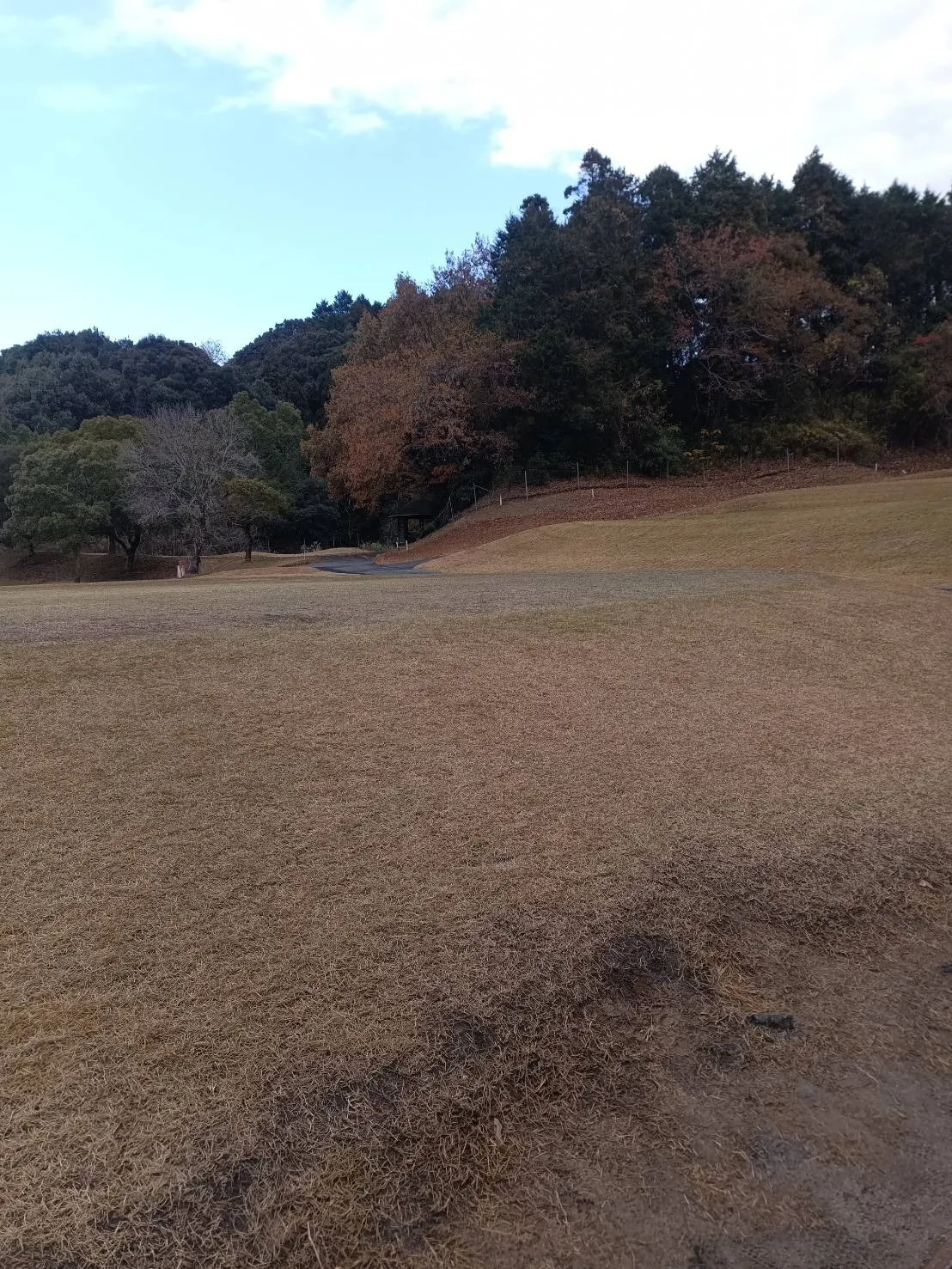 名古屋市内の霊園での追加彫りサービス