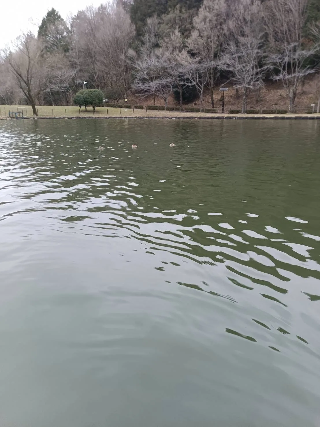 墓誌へ彫刻を行いました【豊田市の霊園】彫刻本舗