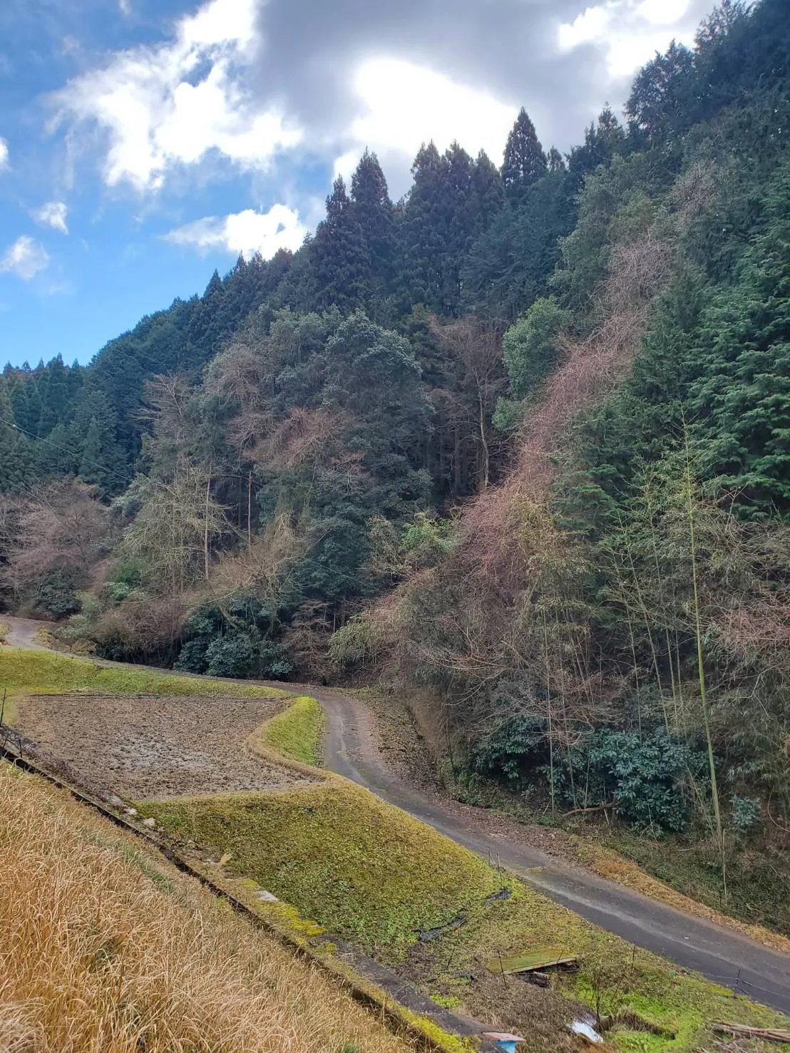 お墓の彫刻サービス｜愛知県一宮市で追加彫刻