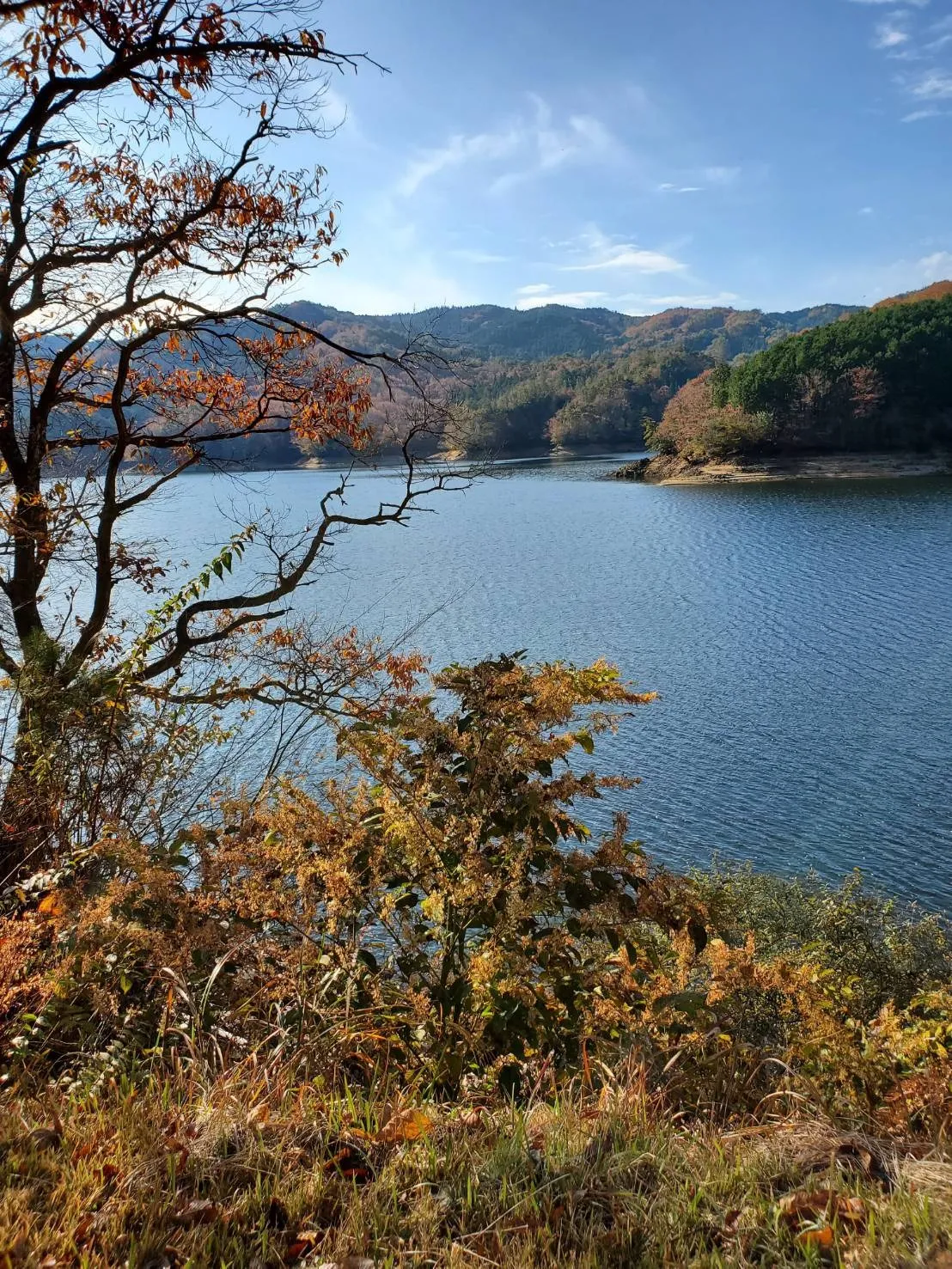 愛知県名古屋市でお墓の追加彫りを行いました