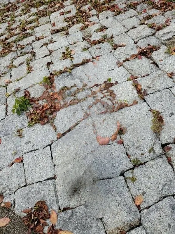 お墓の彫刻サービス｜愛知県みよし市で追加彫刻